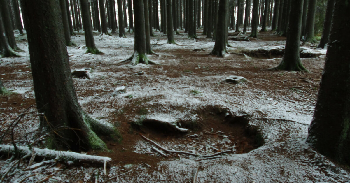 The Real Easy Company Foxholes Bois Jaques – Bastogne