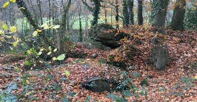 Forgotten WWII Trenches & Bunkers In The Reichswald Forest